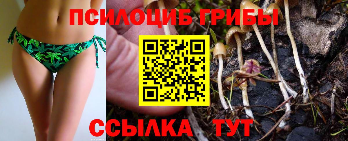 Псилоцибиновые грибы мухоморы Балабаново